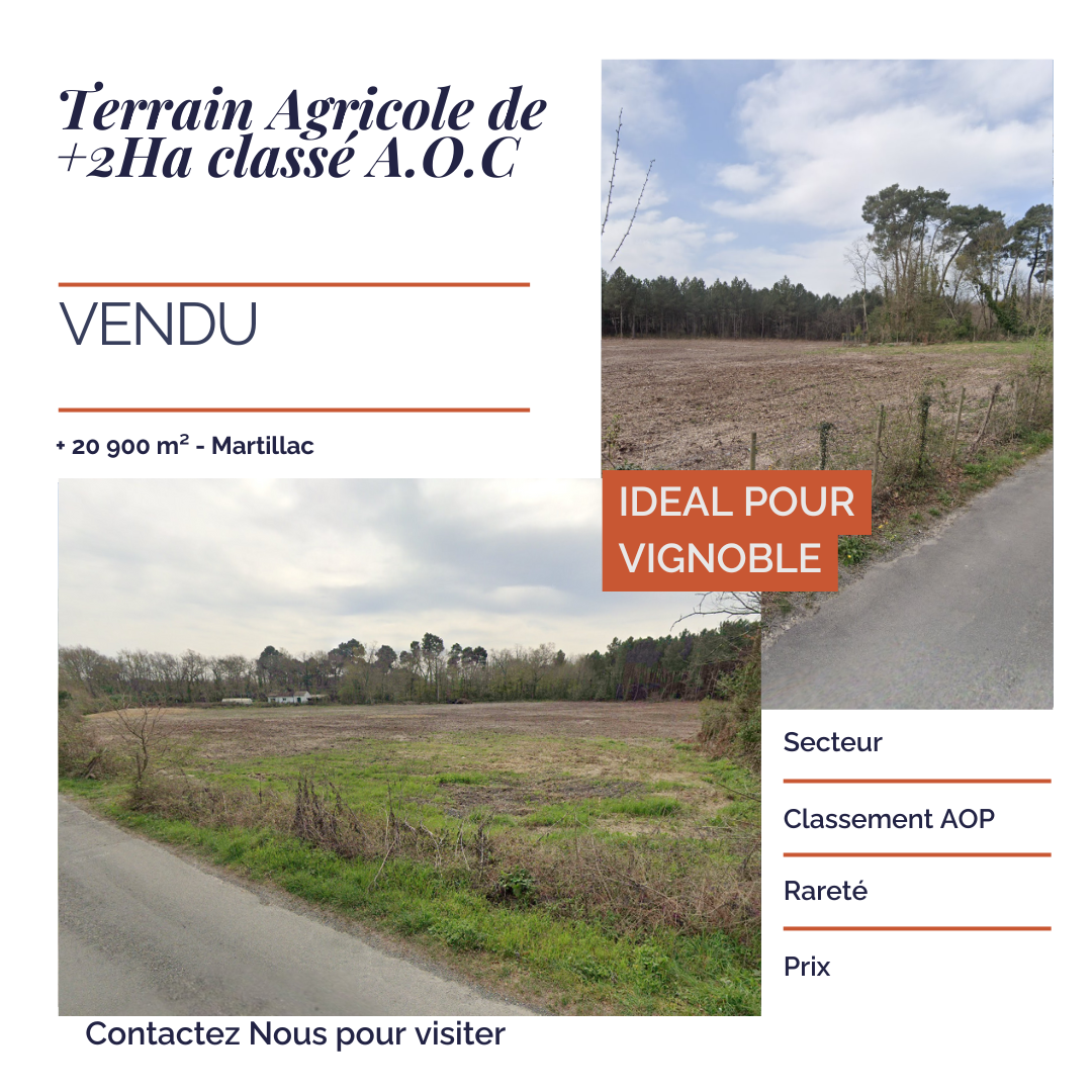 terrain aoc martillac